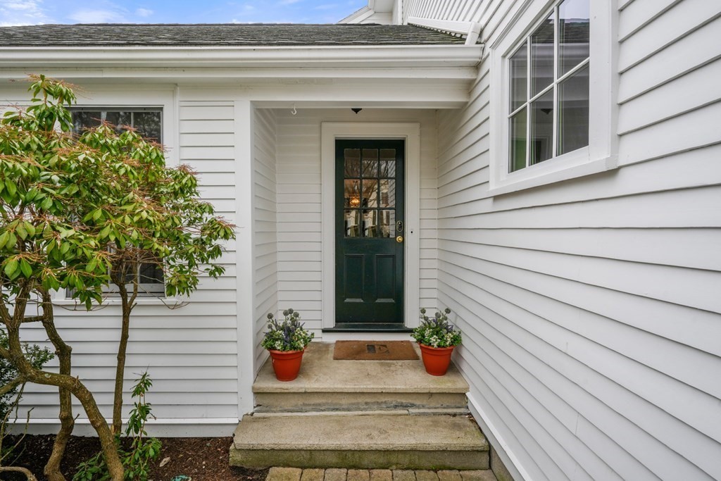 19 Elmwood Road