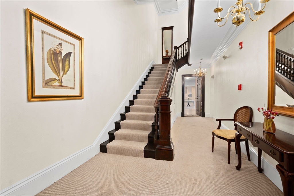 51 Mt Vernon Street # 1A