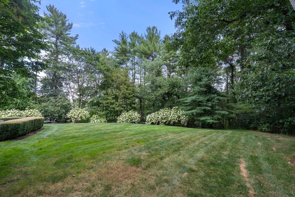 54 Woodchester Dr