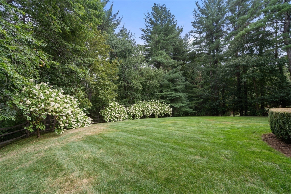 54 Woodchester Dr
