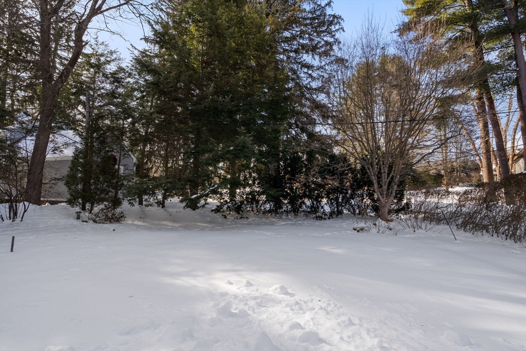 29 Abbott Road