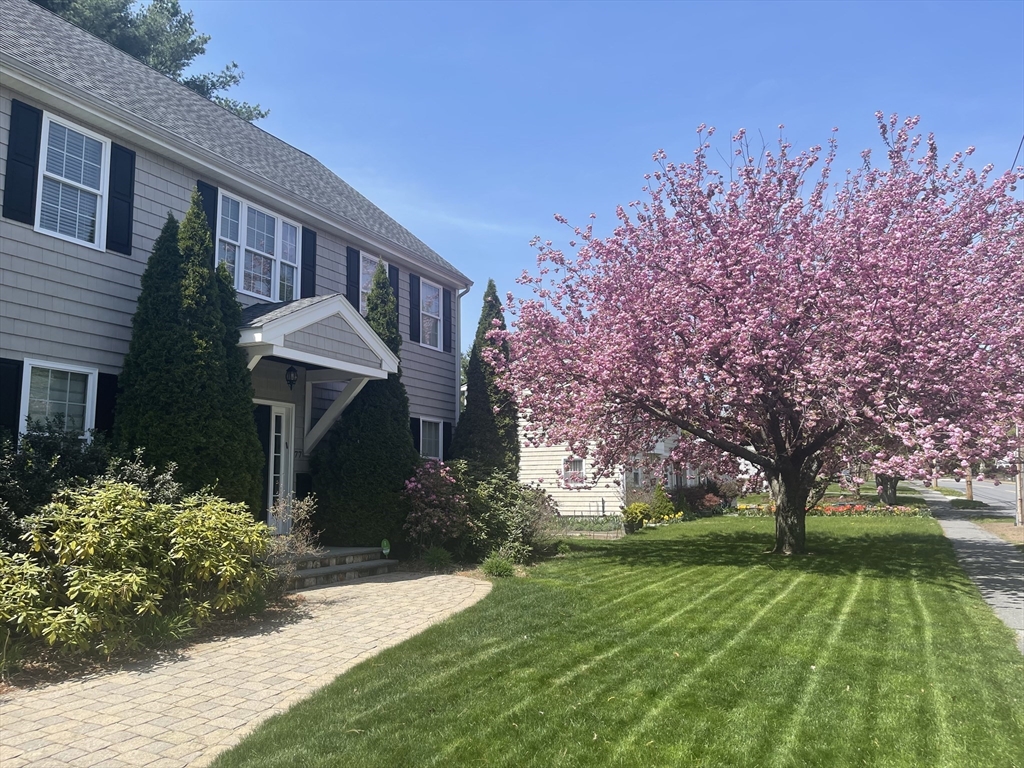 77 Cedar Street