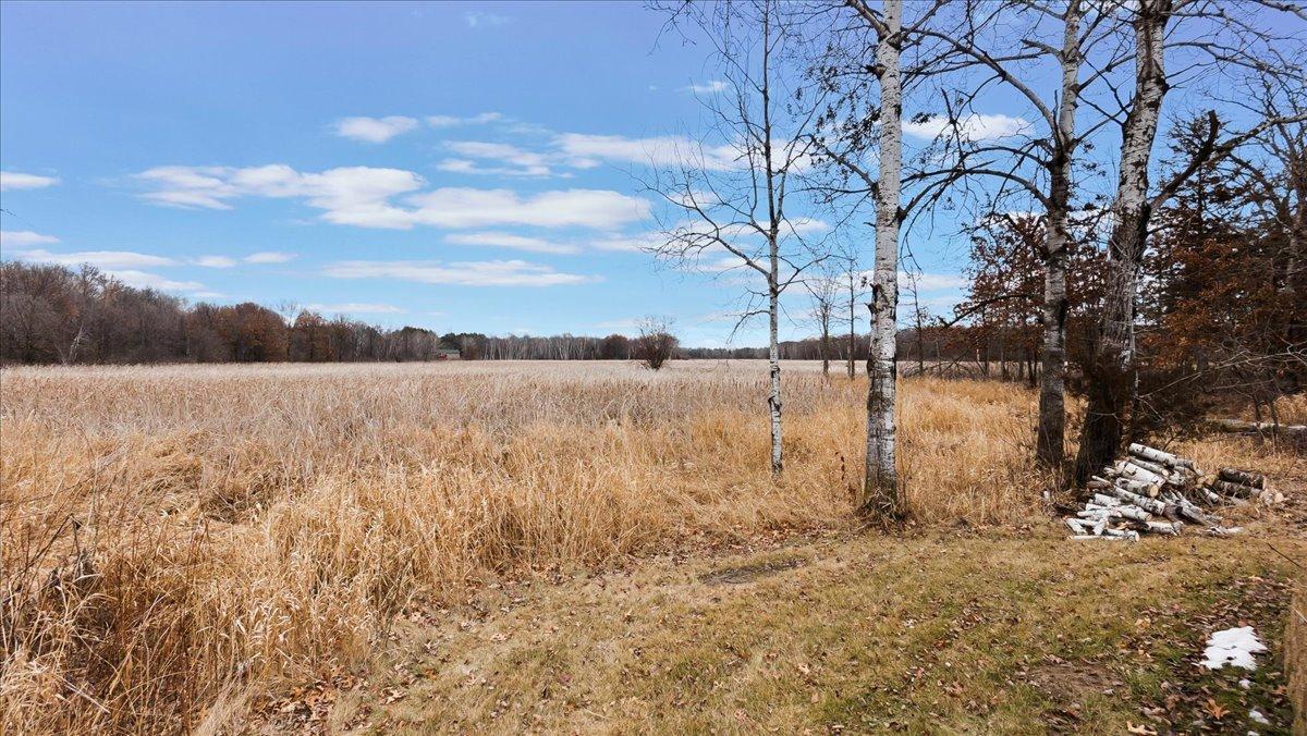 Open golden-grass field bordered by trees, with birch trunks and stacked logs at the right.