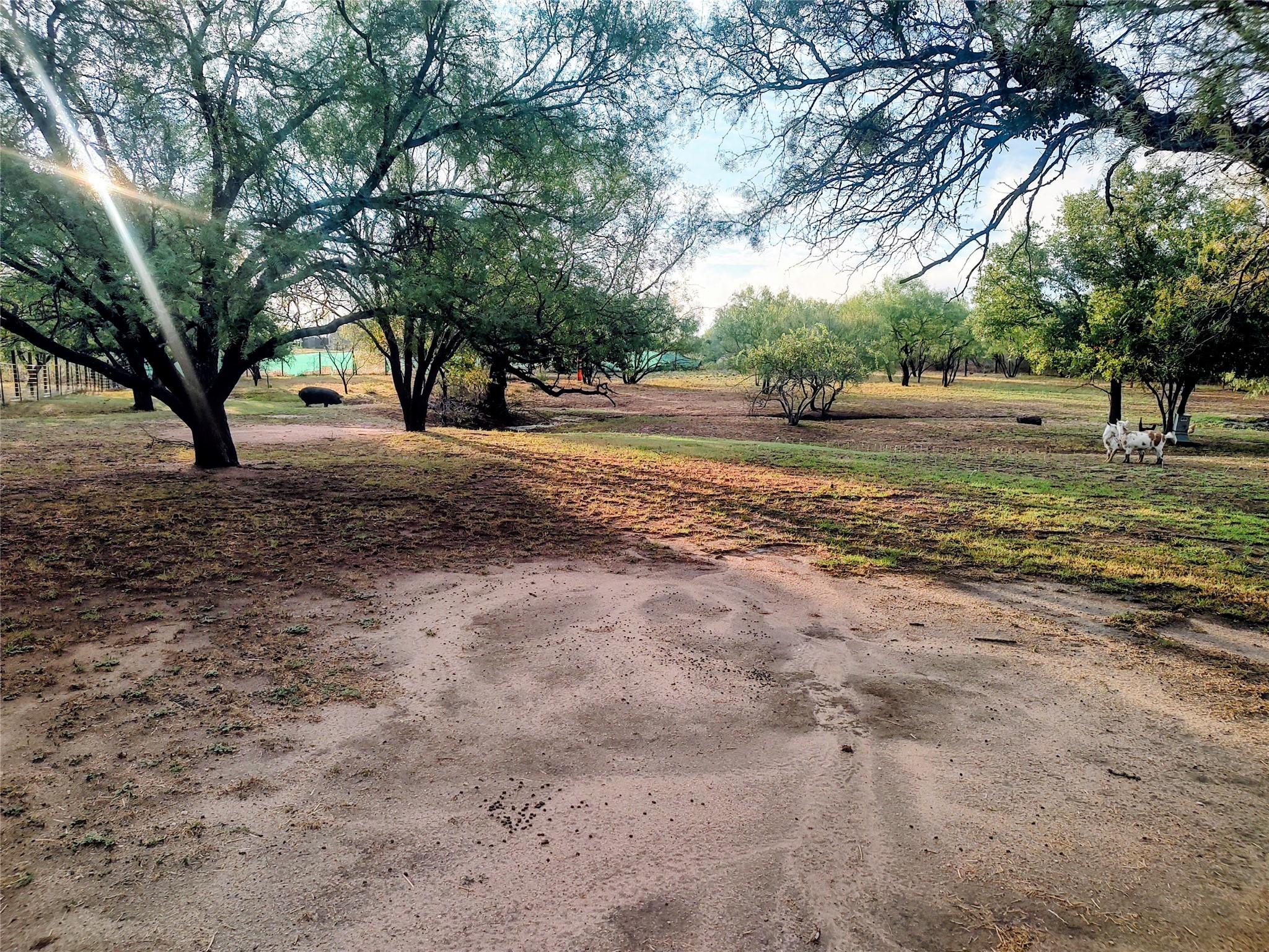 9855 W Ranch Road 1431