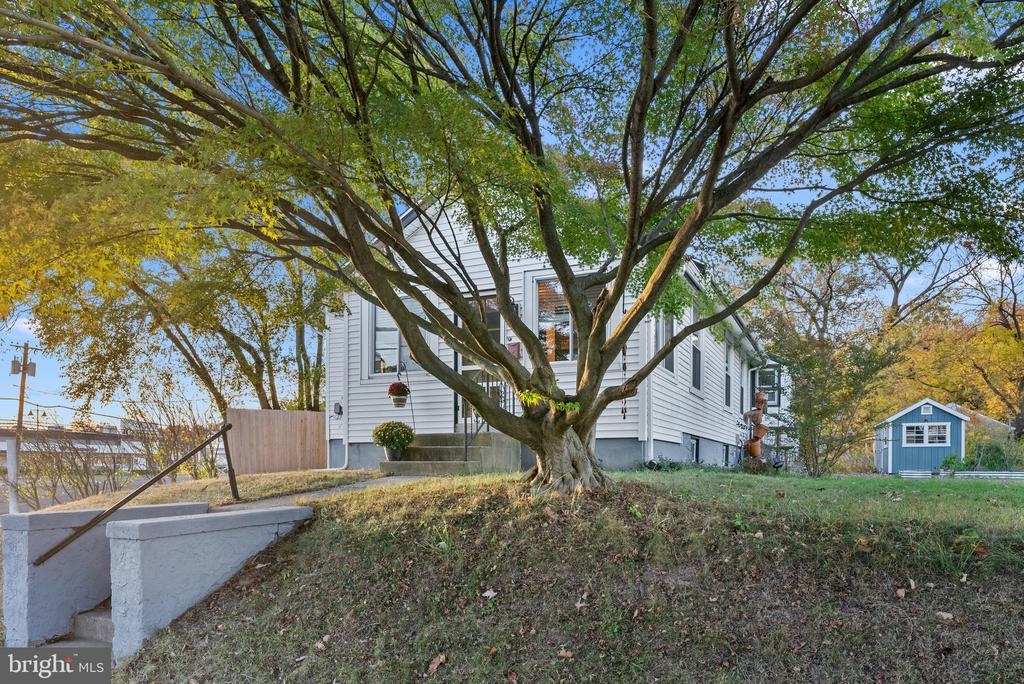 1 CENTER AVENUE