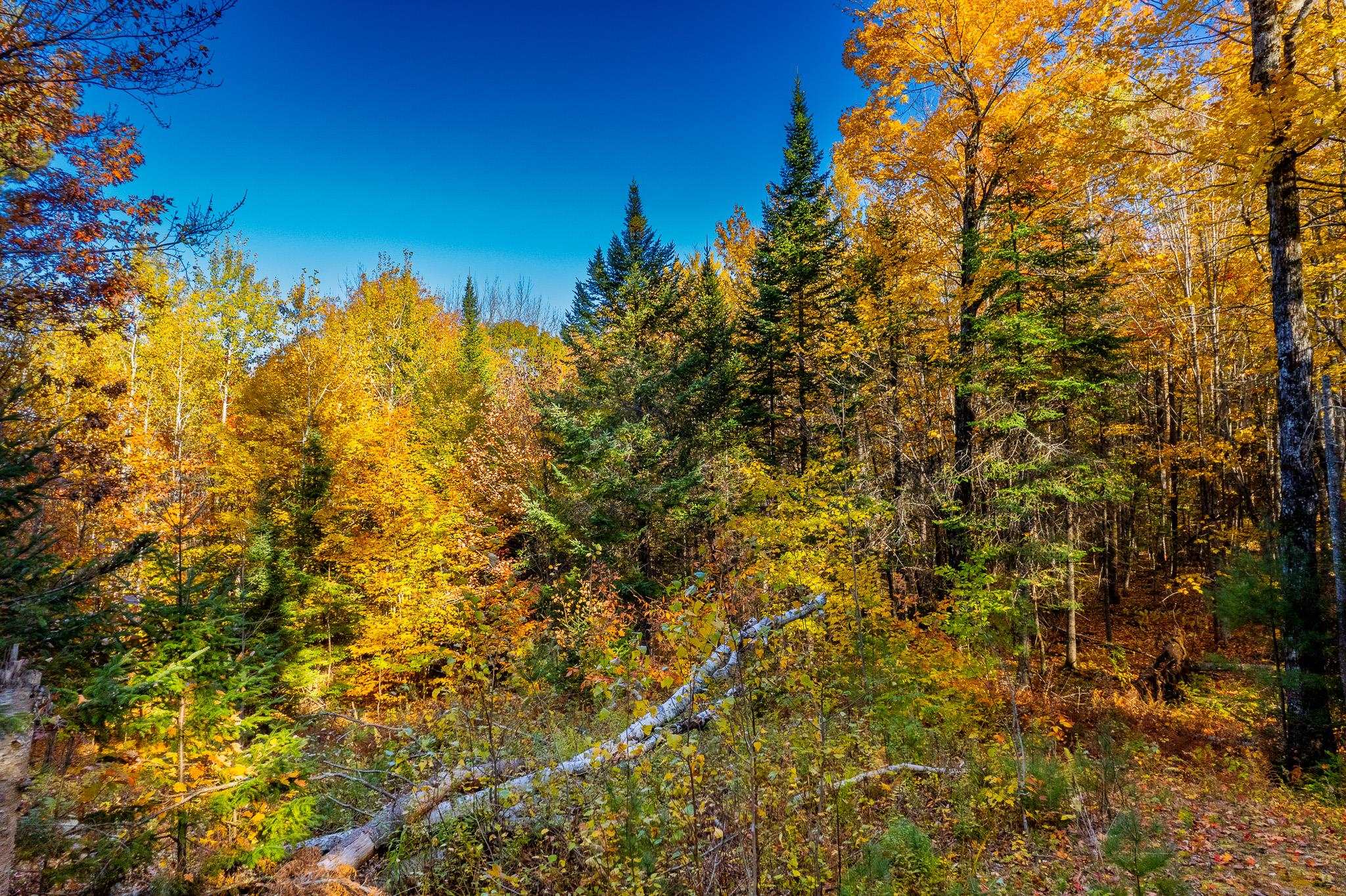 0 Summit Road Unit: Lot 23