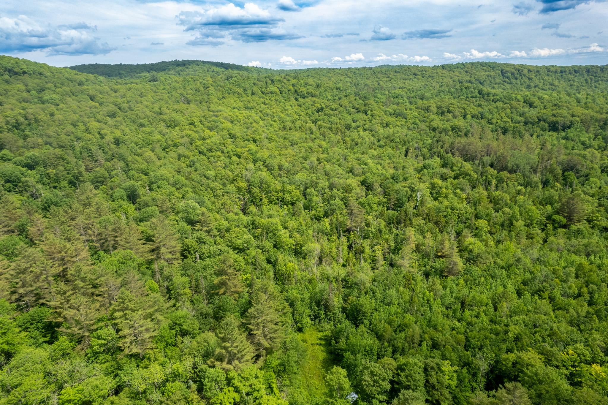 230 Taylor Valley Road