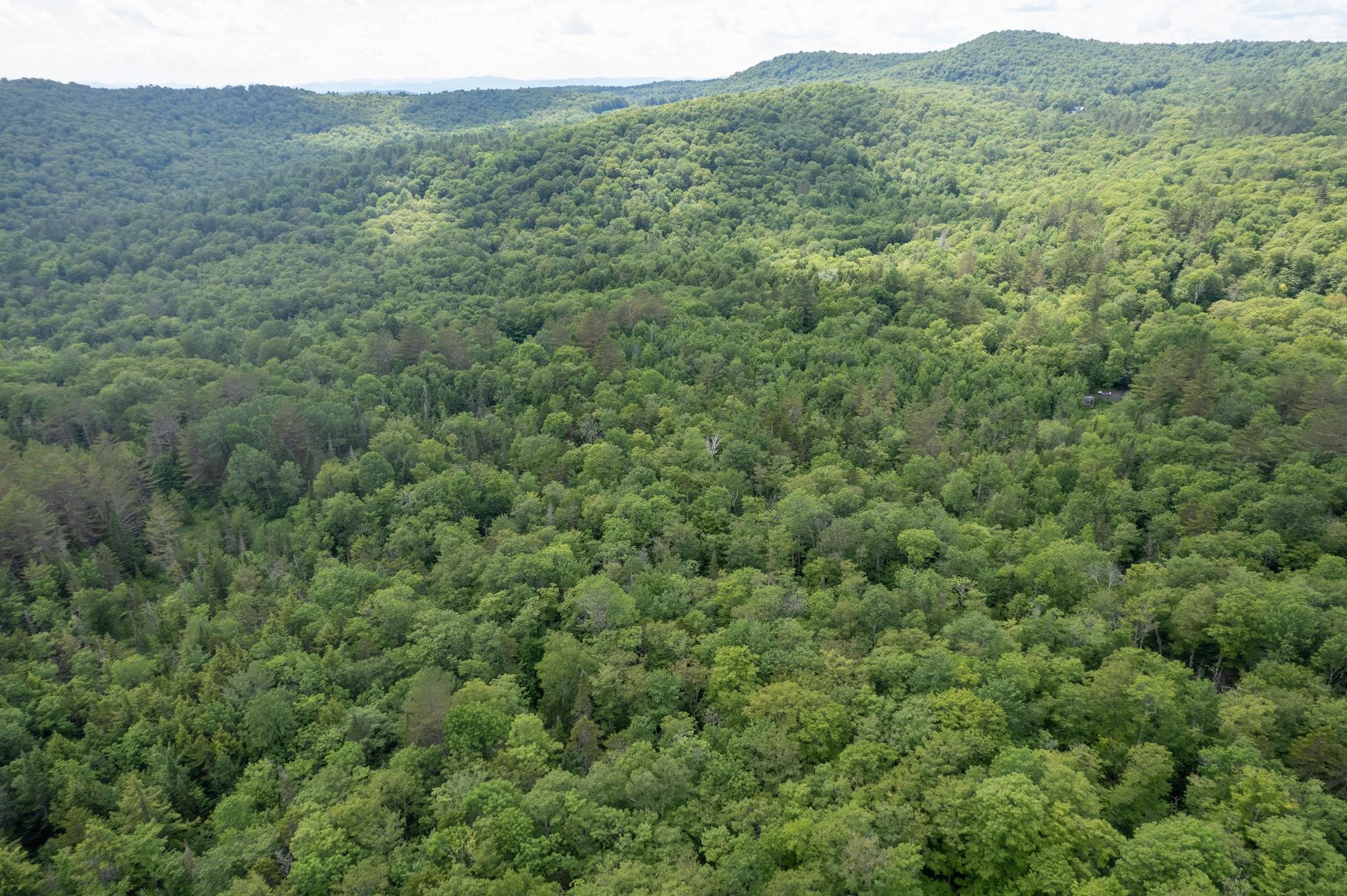 230 Taylor Valley Road