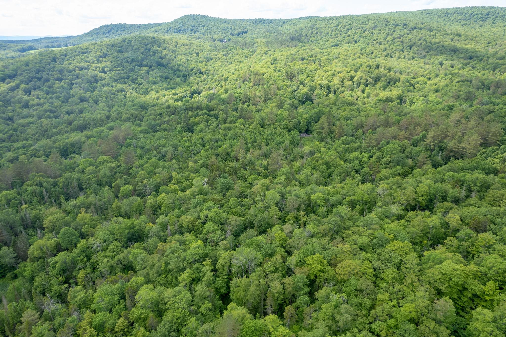 230 Taylor Valley Road