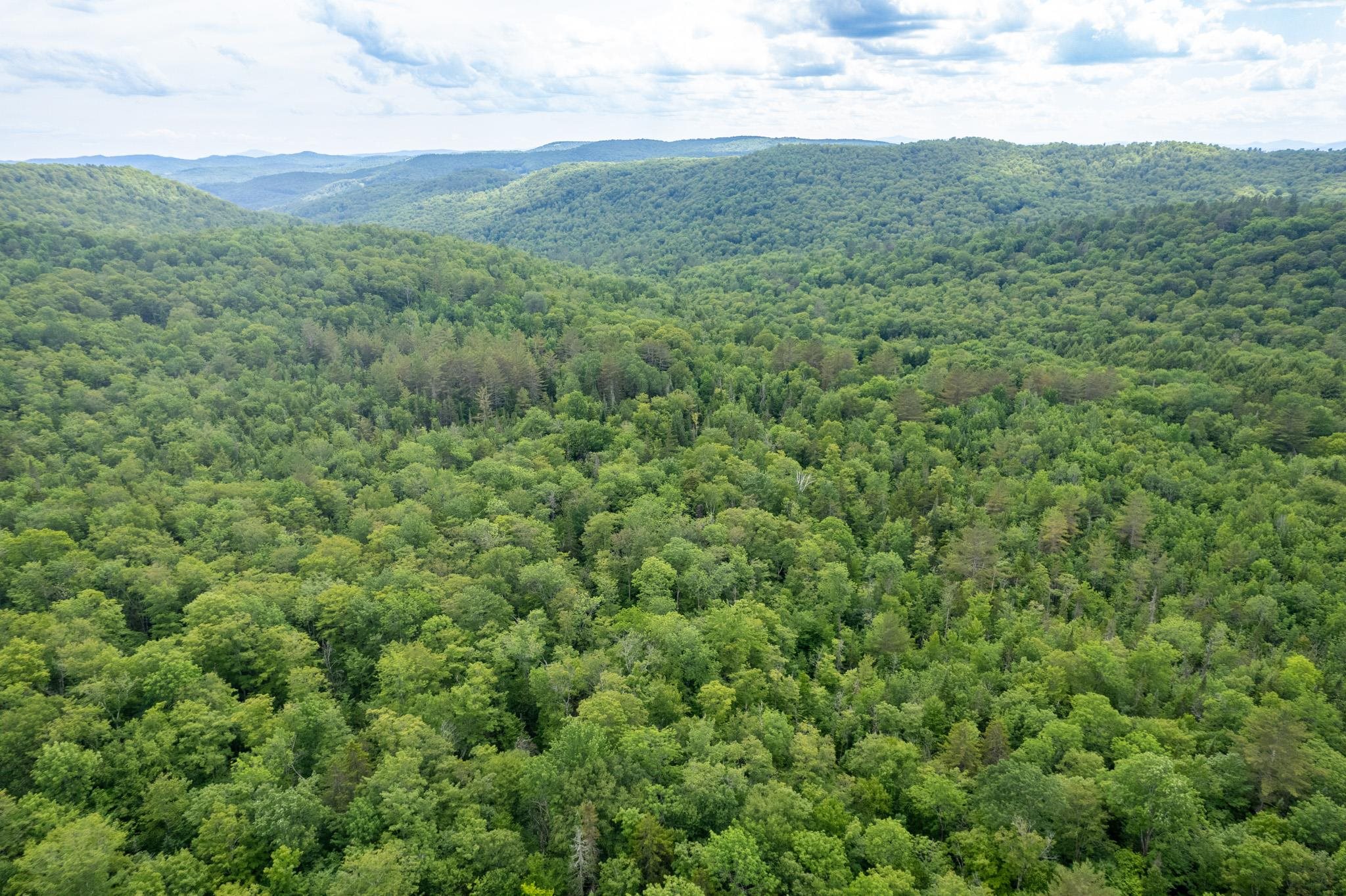 230 Taylor Valley Road