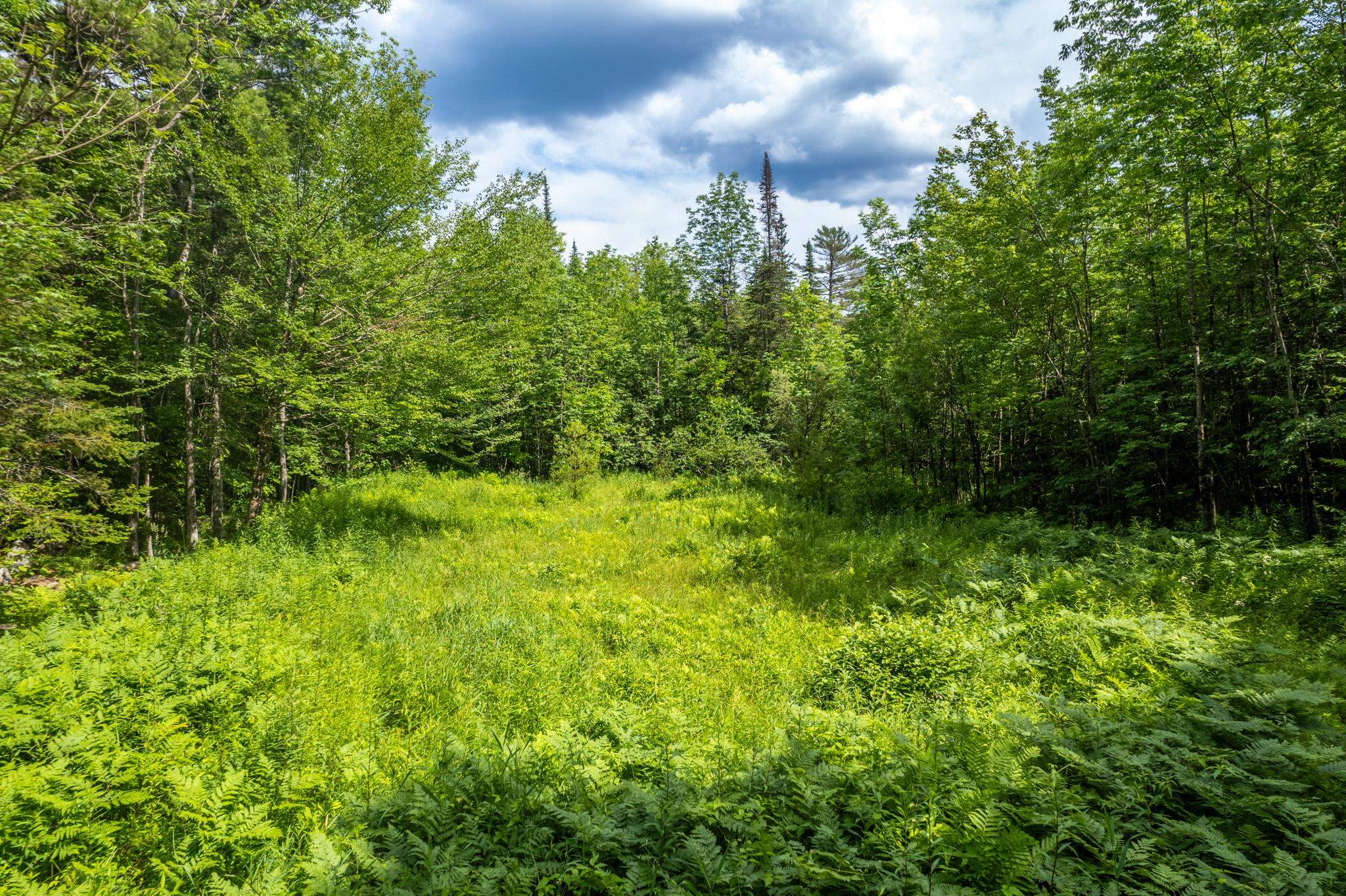 230 Taylor Valley Road