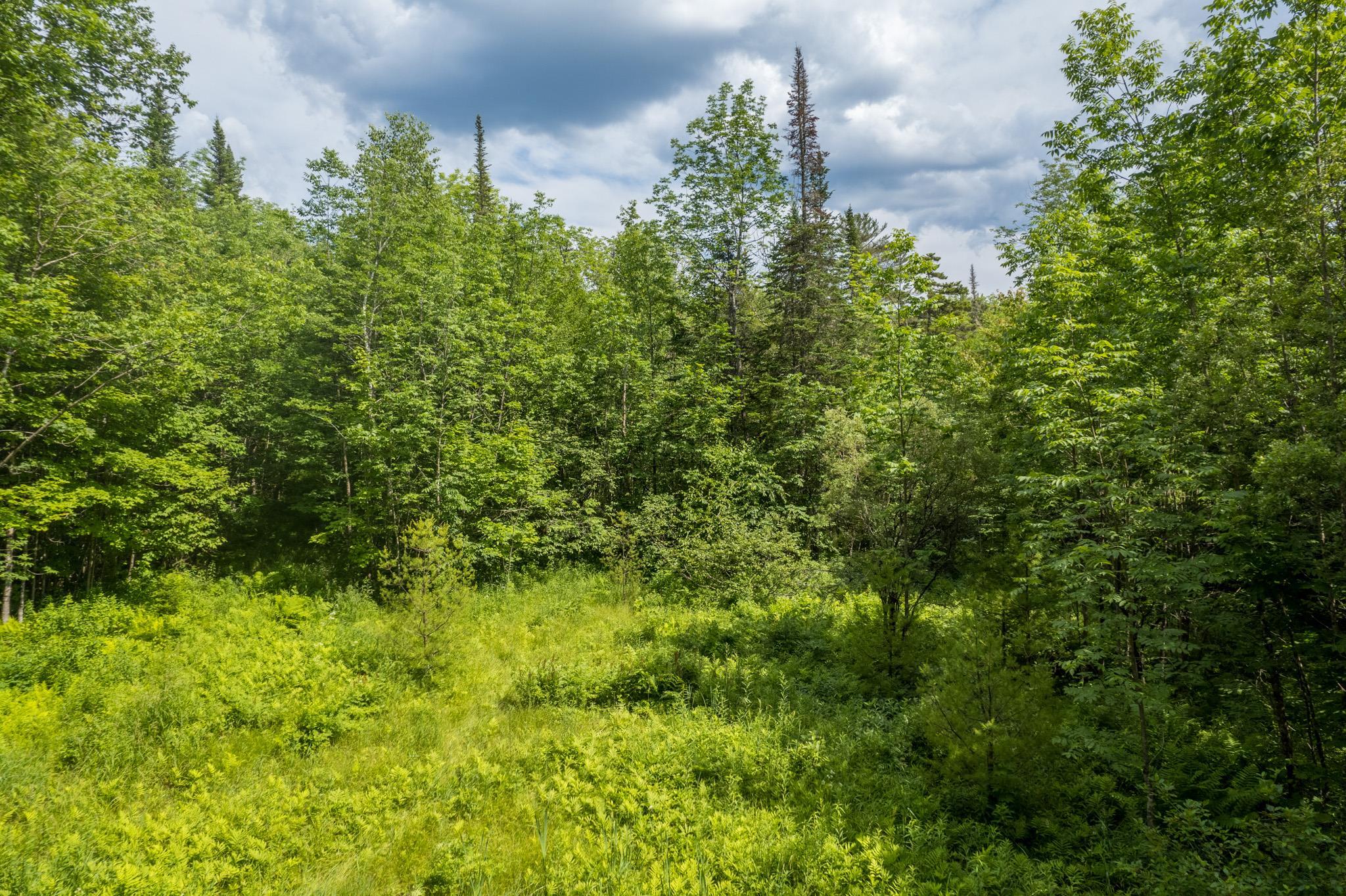 230 Taylor Valley Road