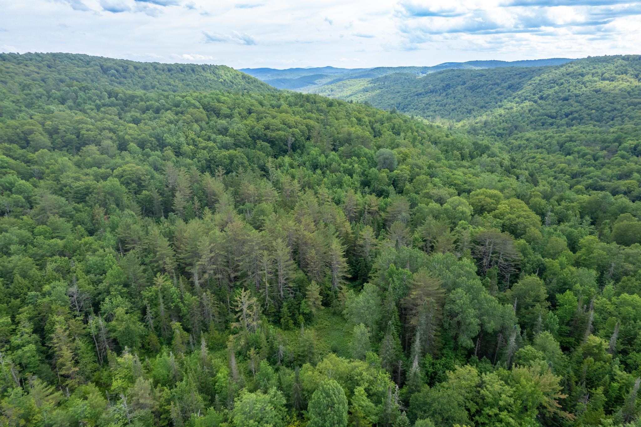 230 Taylor Valley Road