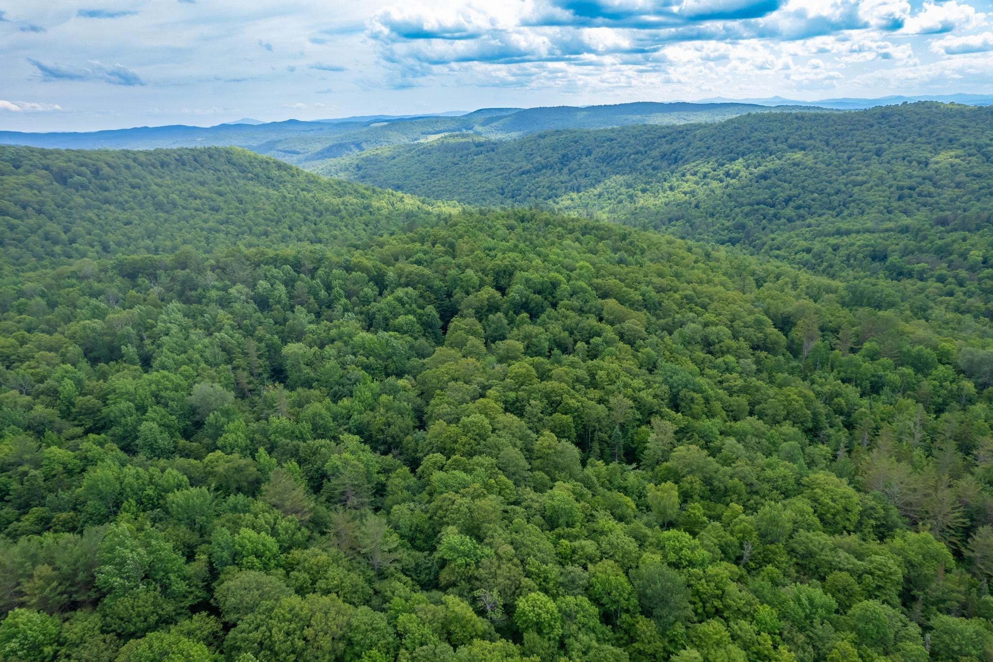 230 Taylor Valley Road