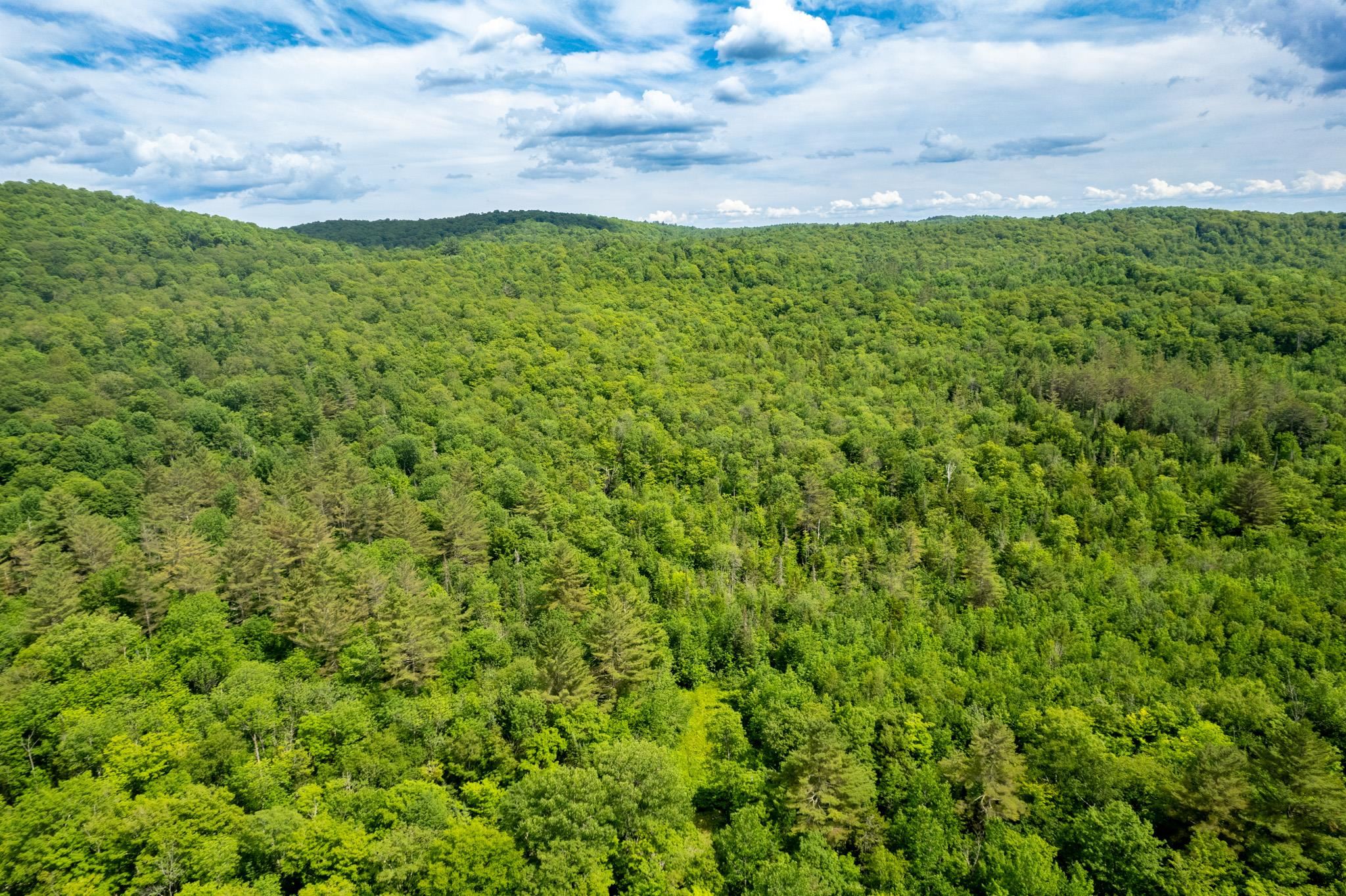 230 Taylor Valley Road