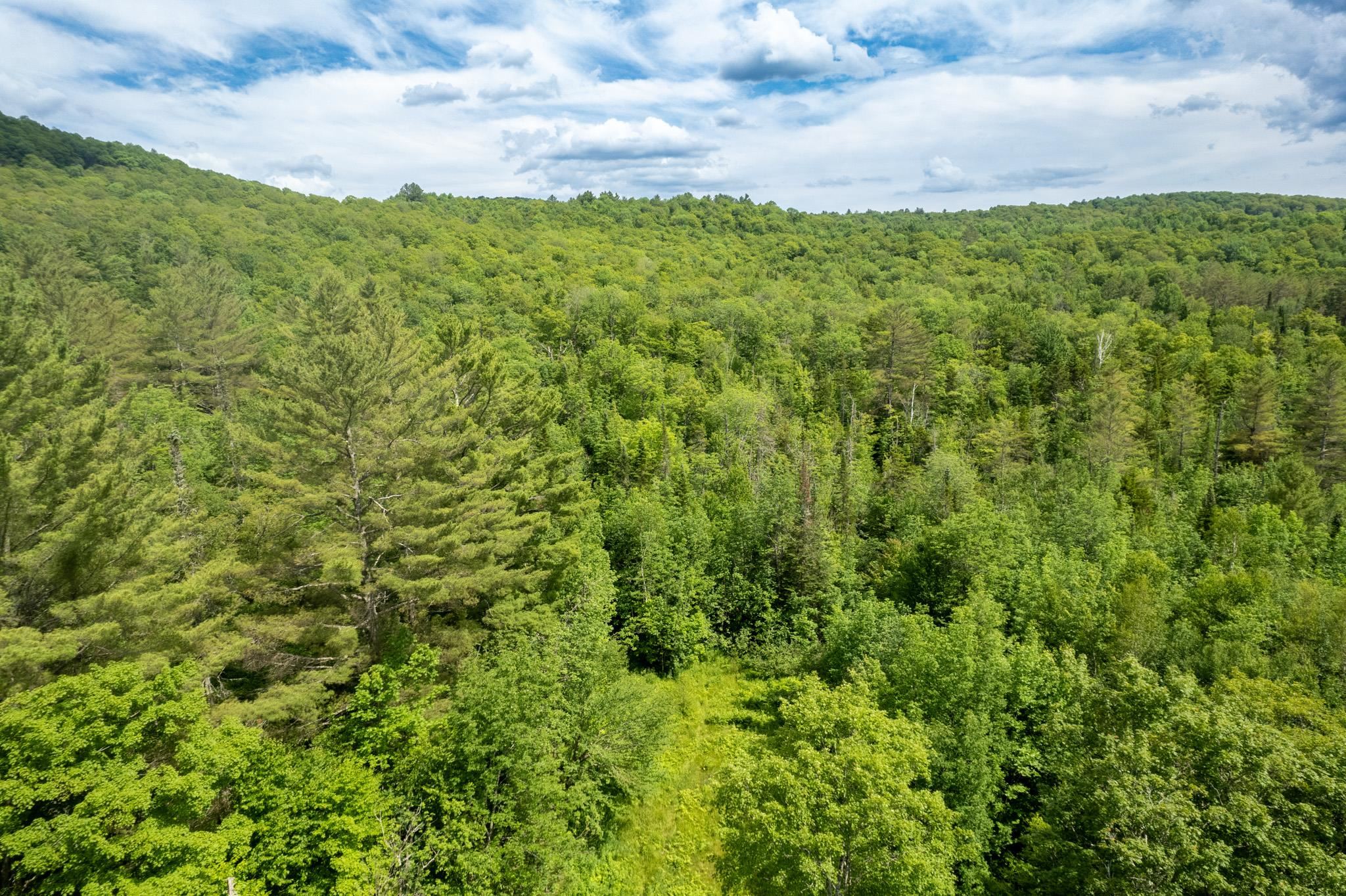 230 Taylor Valley Road