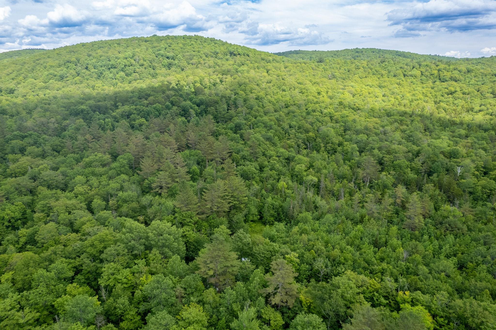 230 Taylor Valley Road