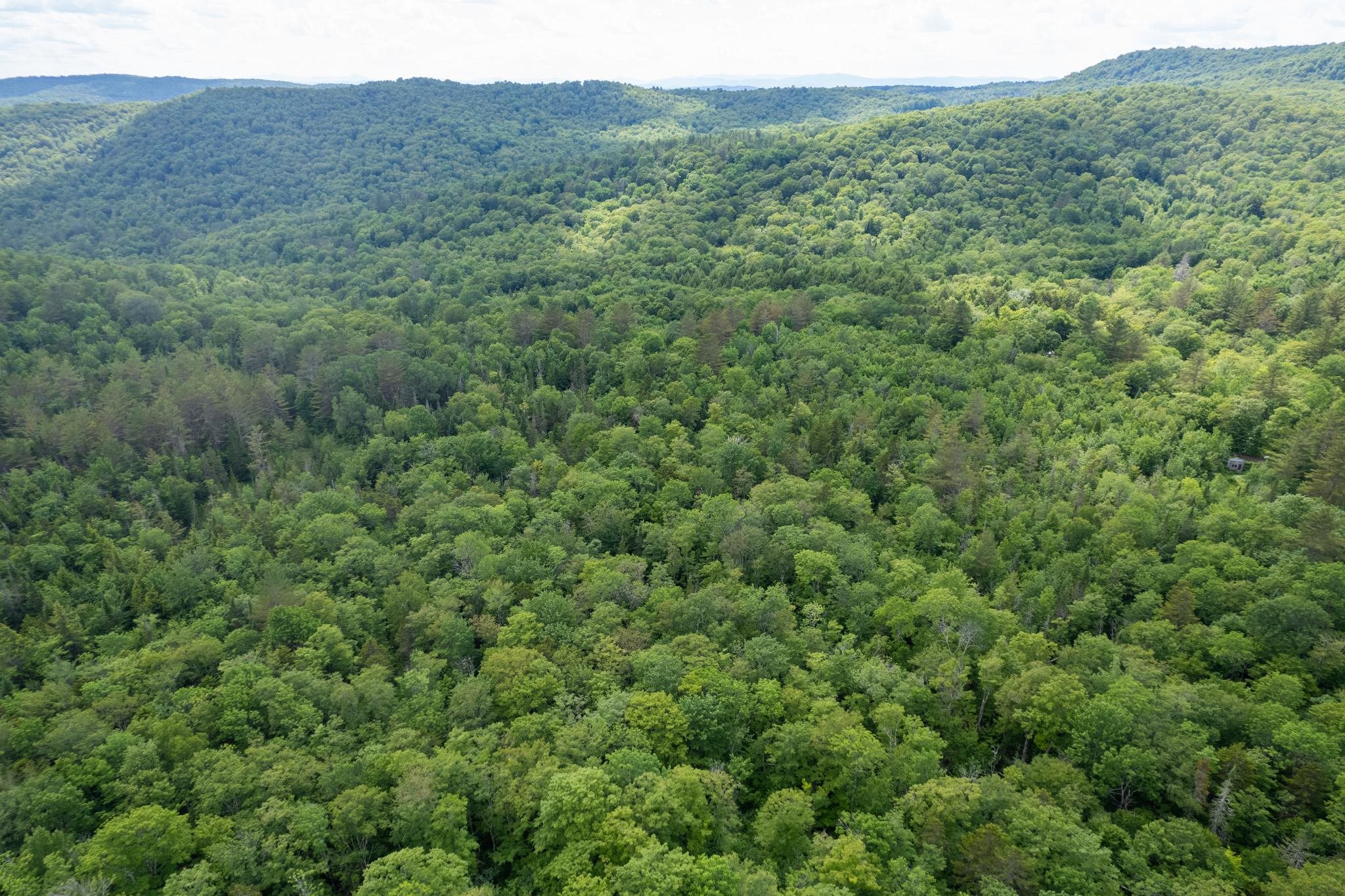 230 Taylor Valley Road