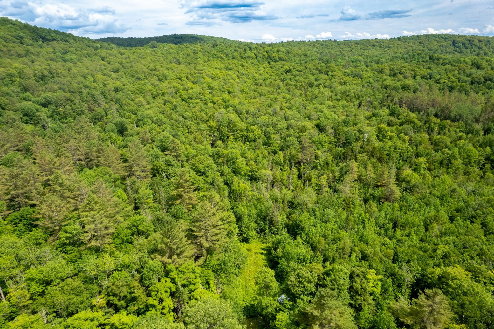 230 Taylor Valley Road