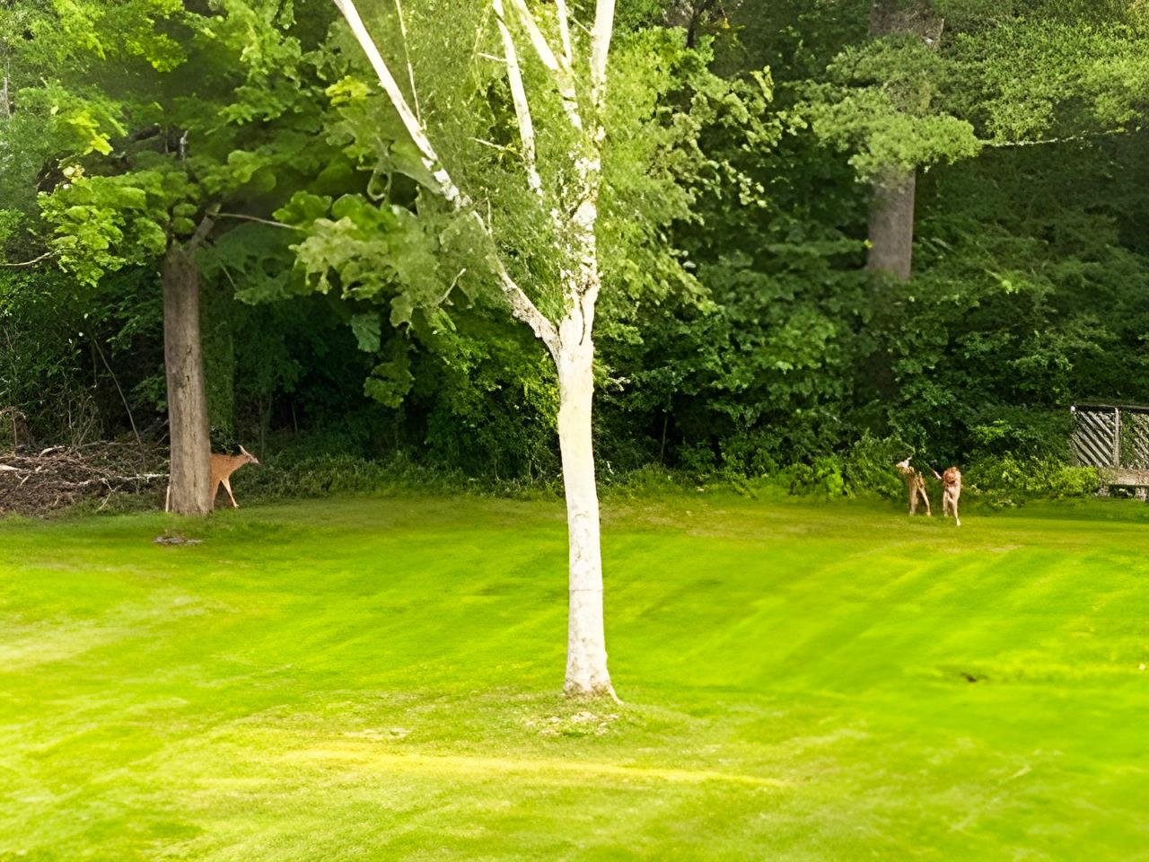 6 On the Common Unit: 5