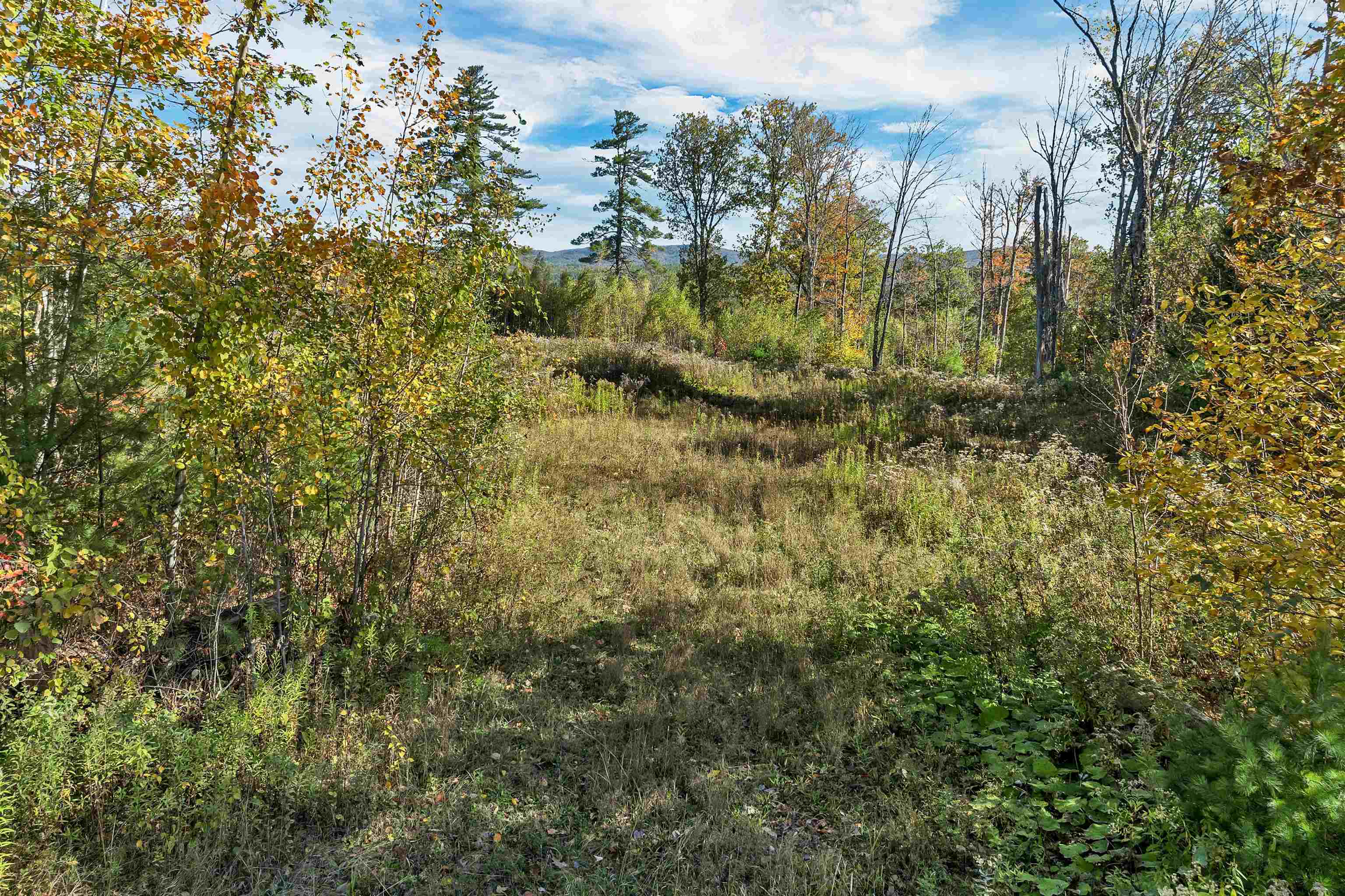 44 Williams Hill Road