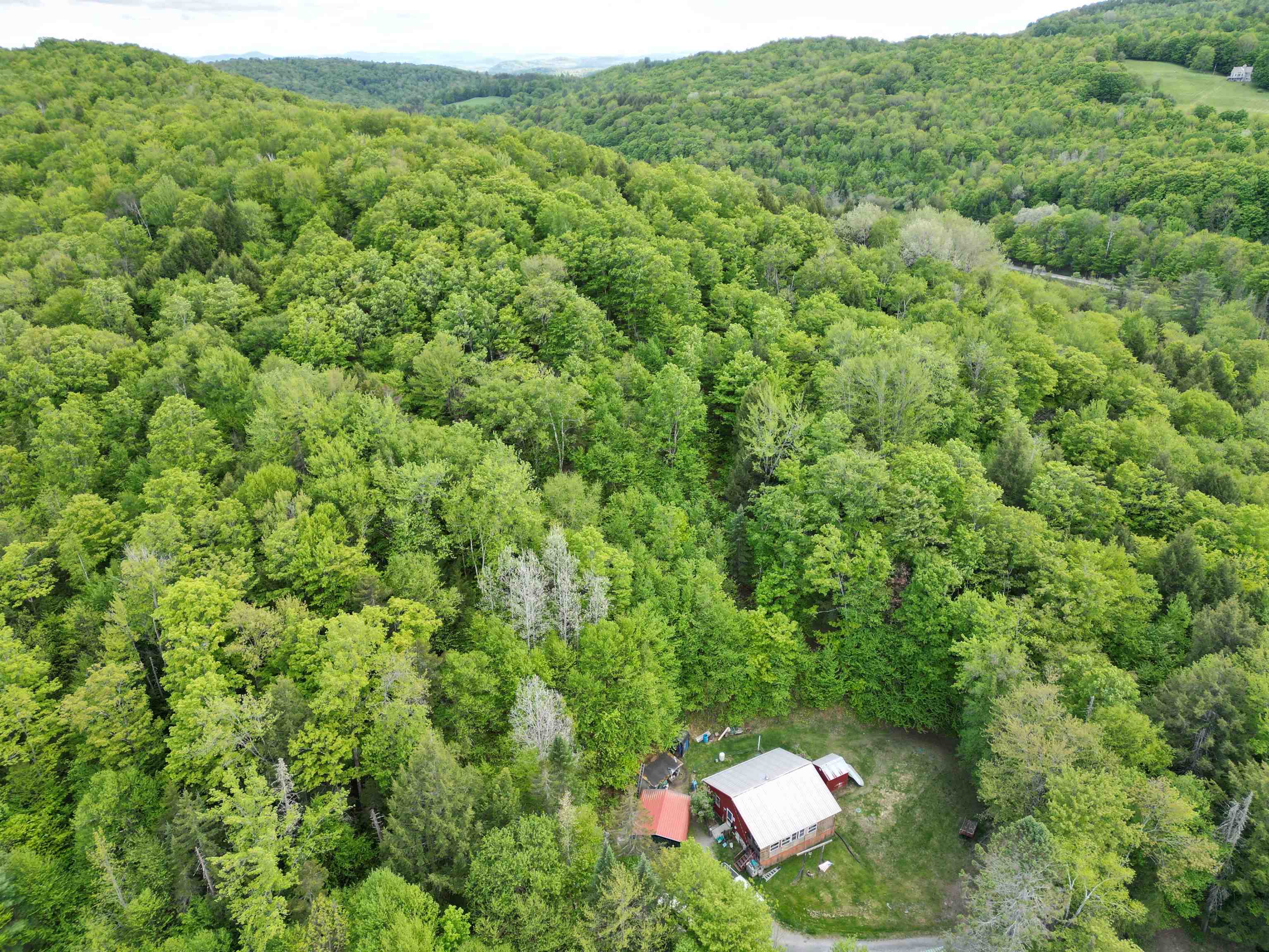 4823 Swamp Road