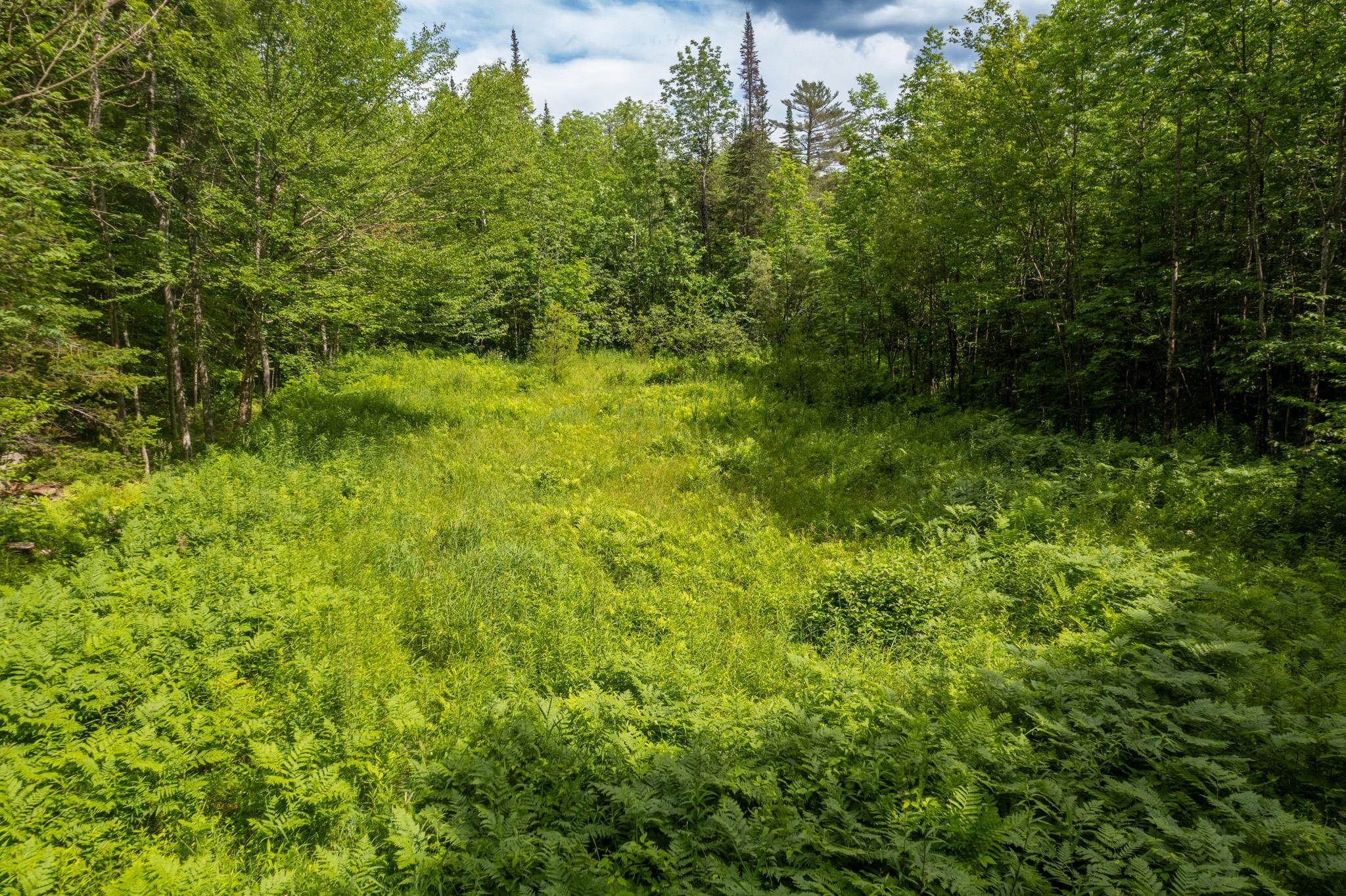 230 Taylor Valley Road