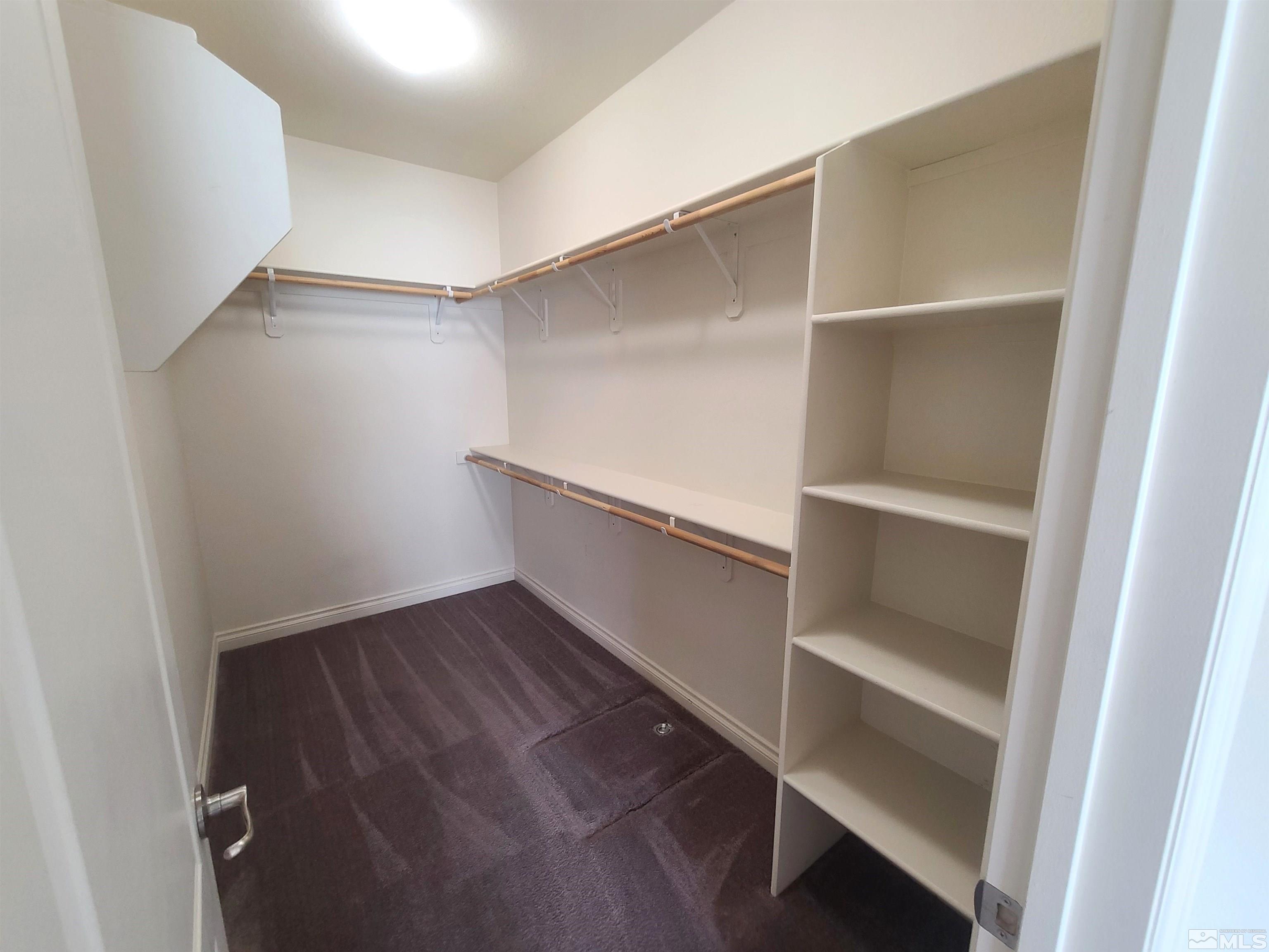 18206 Polar Bear Court