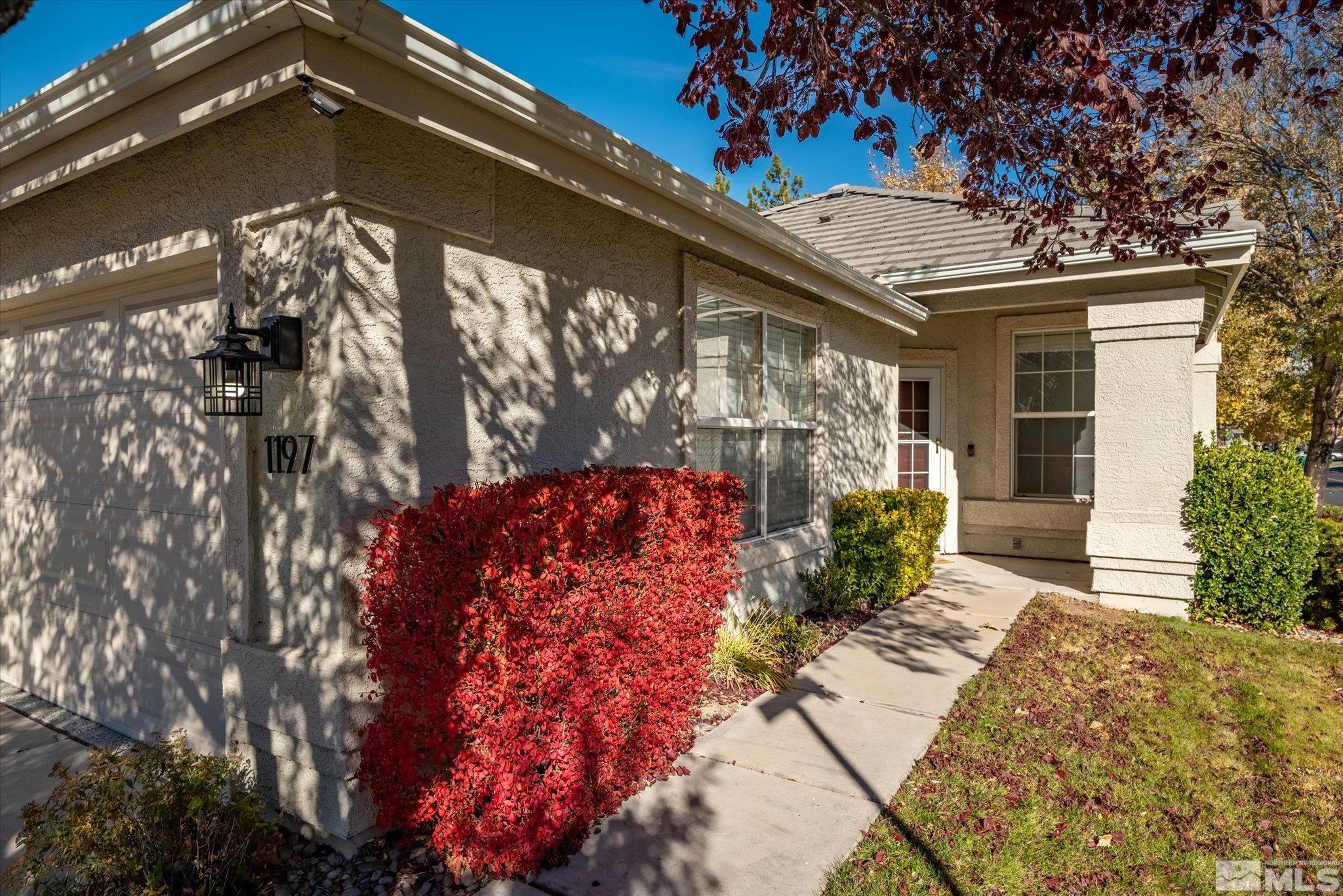 1197 Tule Drive