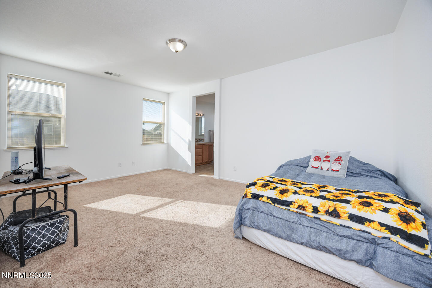 1359 Onda Verde Drive