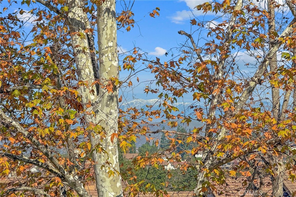 6535 E Paseo Murillo