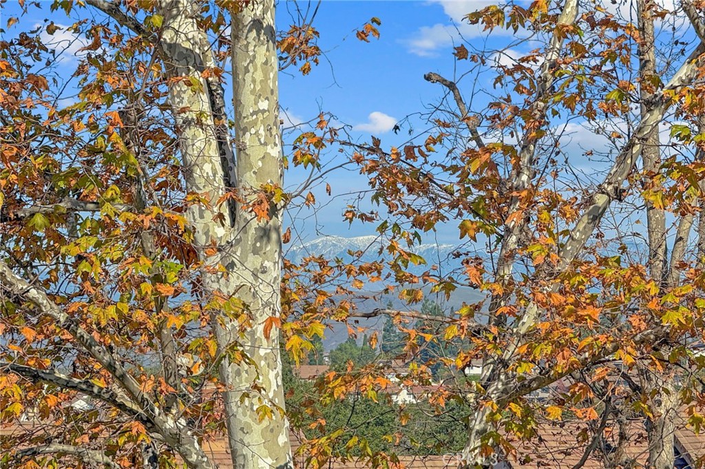 6535 E Paseo Murillo