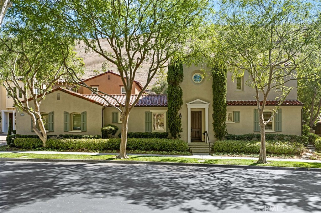 58 Shade Tree