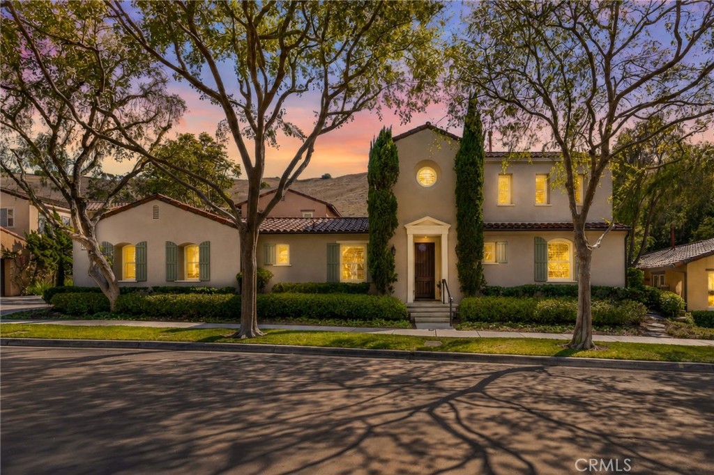 58 Shade Tree