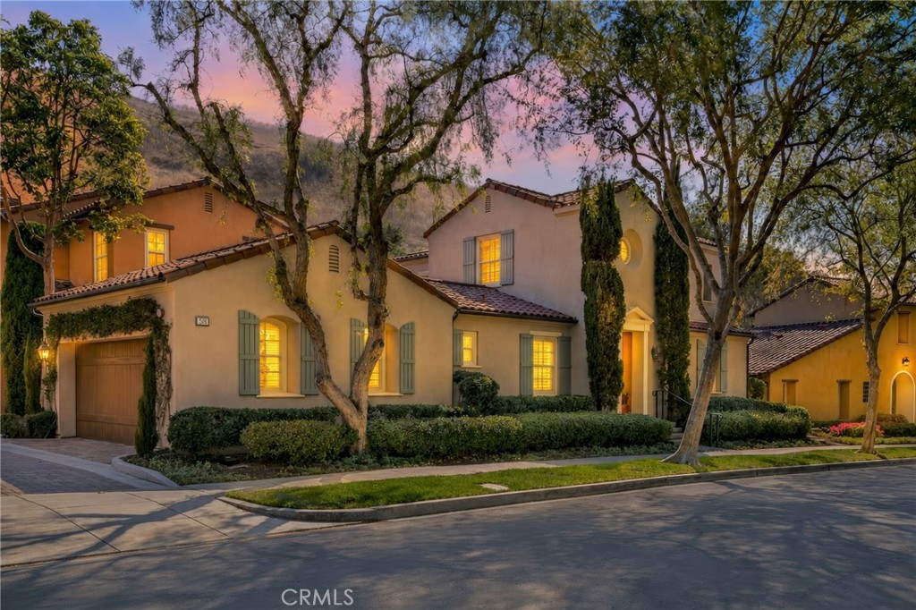 58 Shade Tree