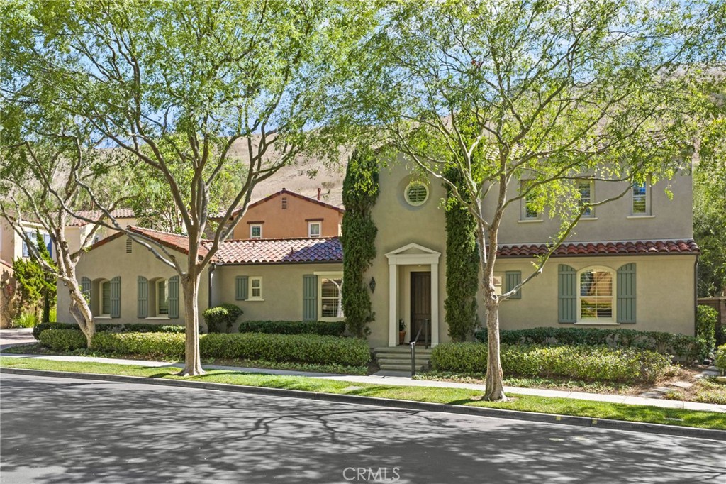 58 Shade Tree