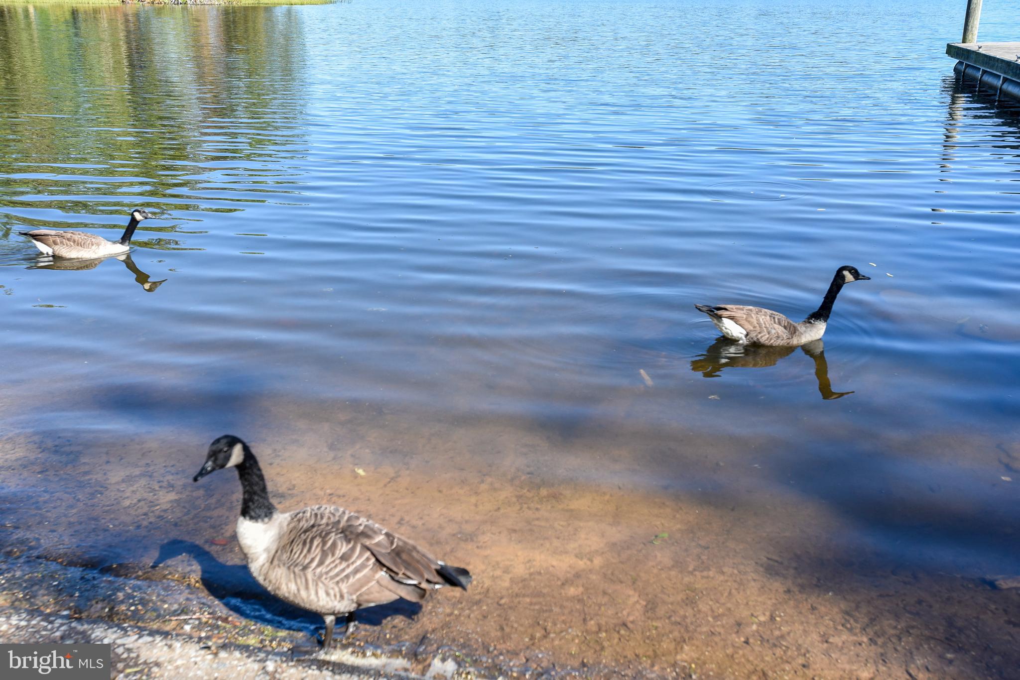 8153 OLD BARRINGTON BOULEVARD