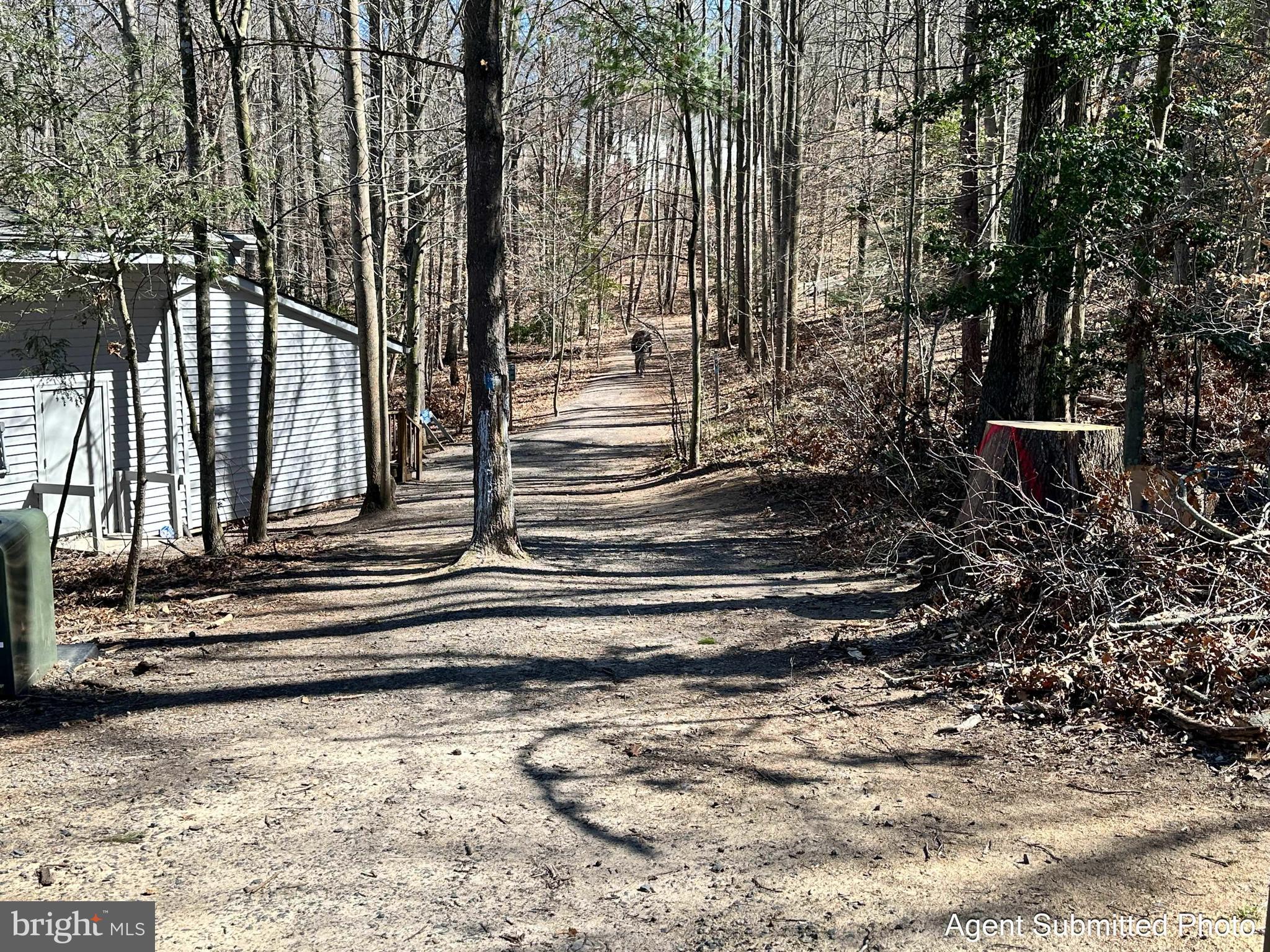 12313 Antietam Rd