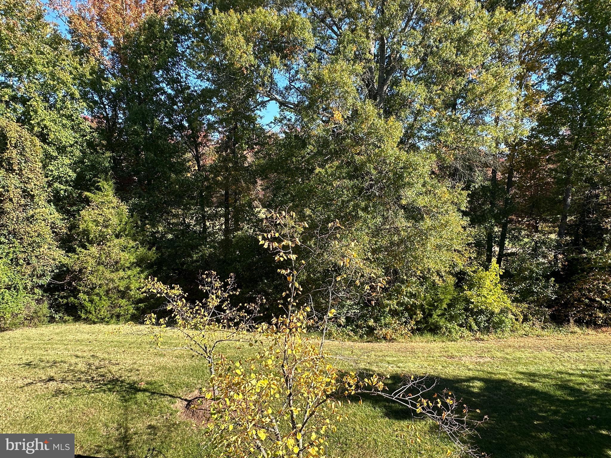 13846 GREENDALE DRIVE 59