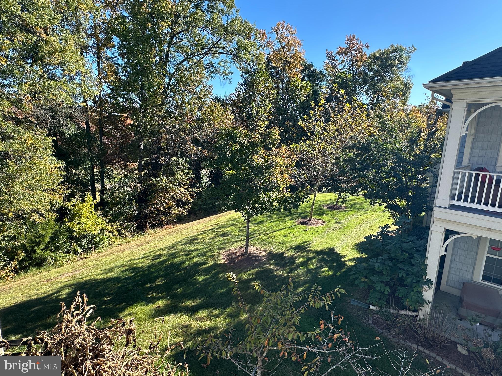 13846 GREENDALE DRIVE 59