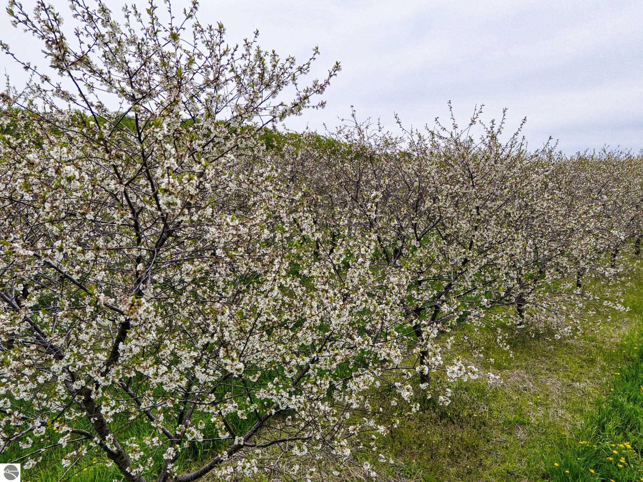 6400 N Manitou Trail