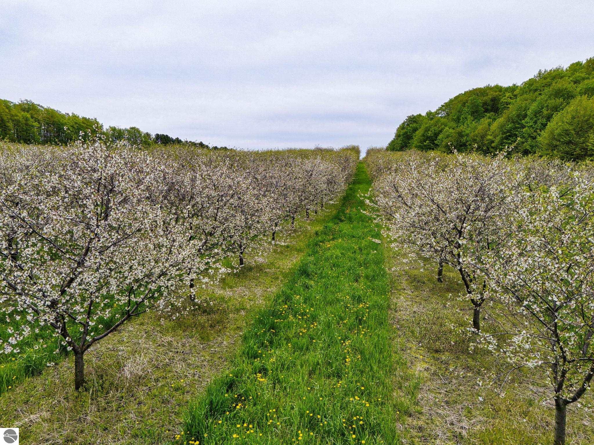 6400 N Manitou Trail