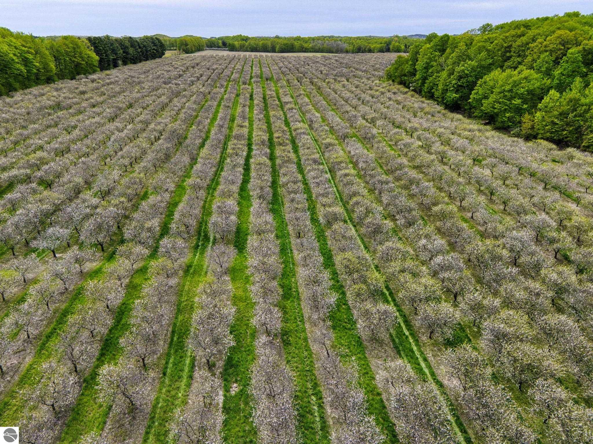 6400 N Manitou Trail