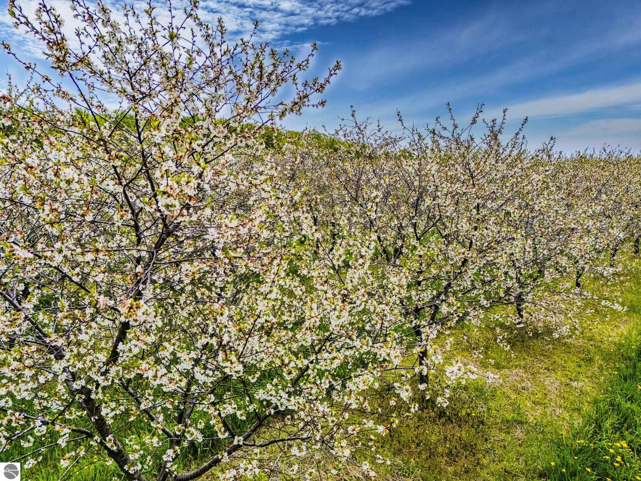 6400 N Manitou Trail