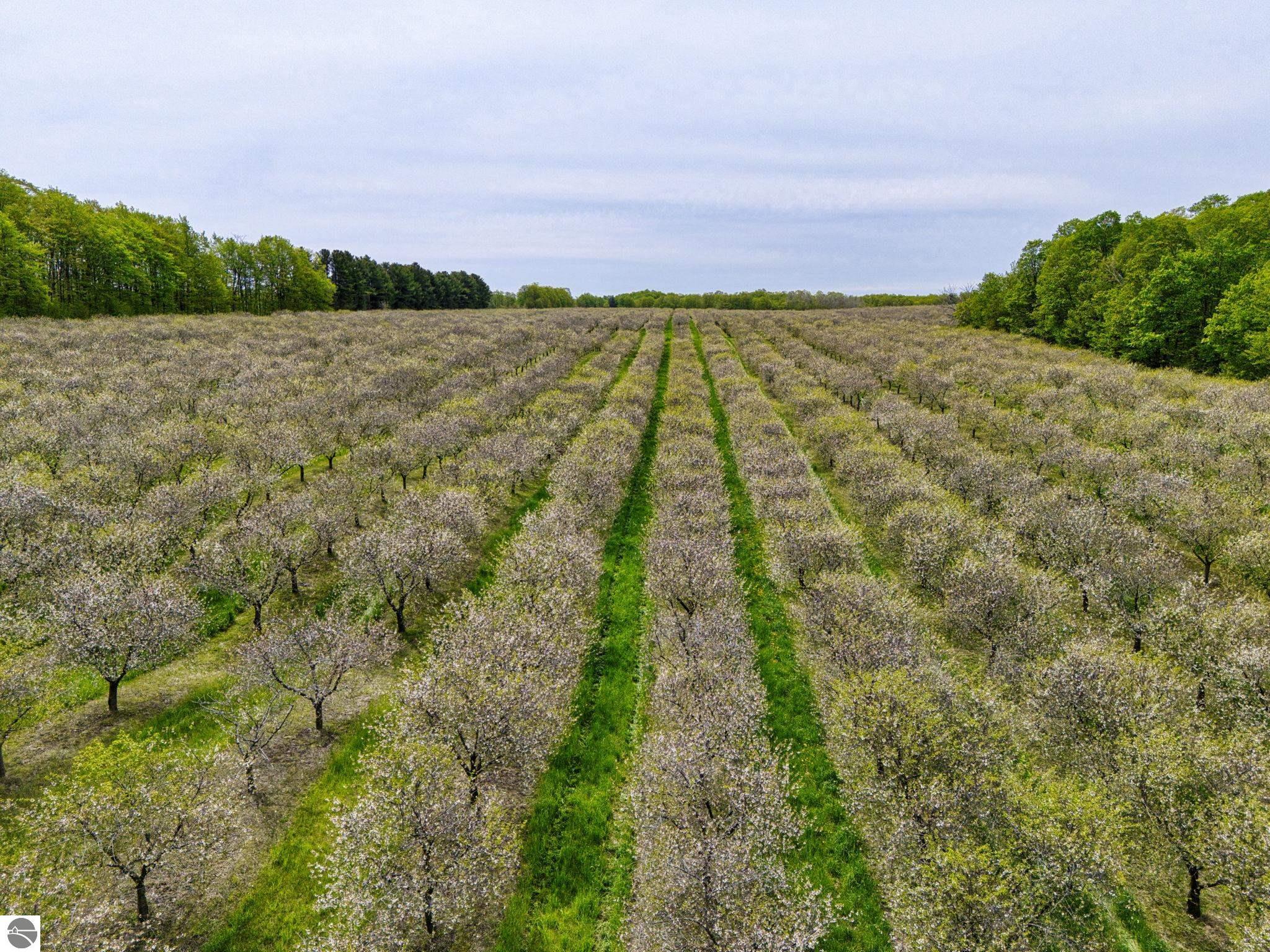 6400 N Manitou Trail