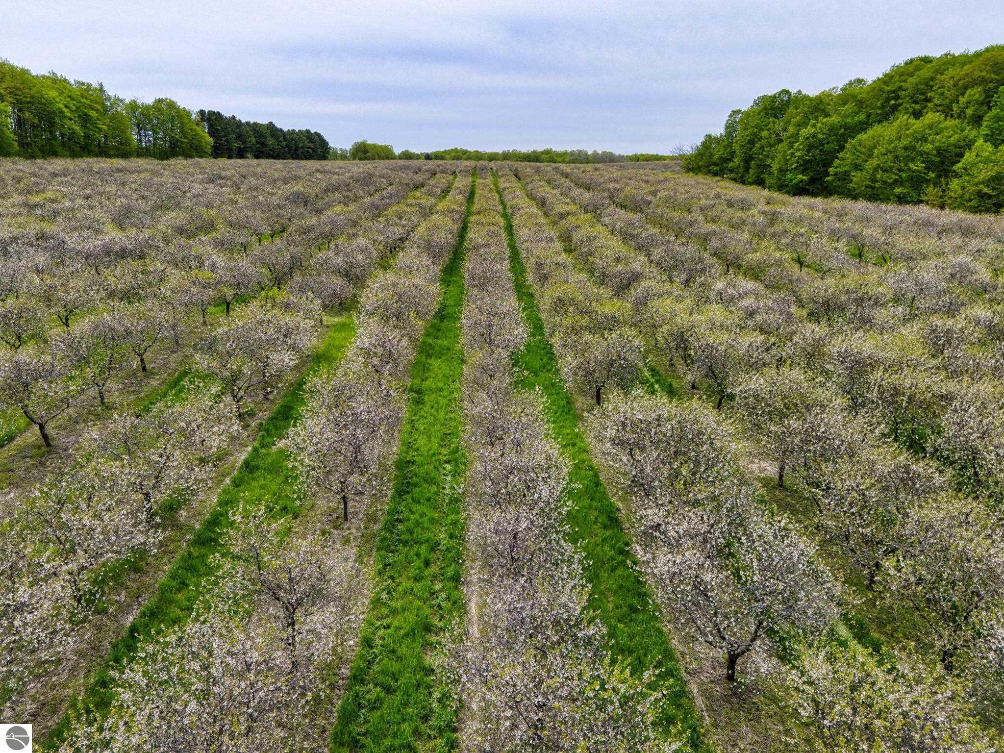 6400 N Manitou Trail