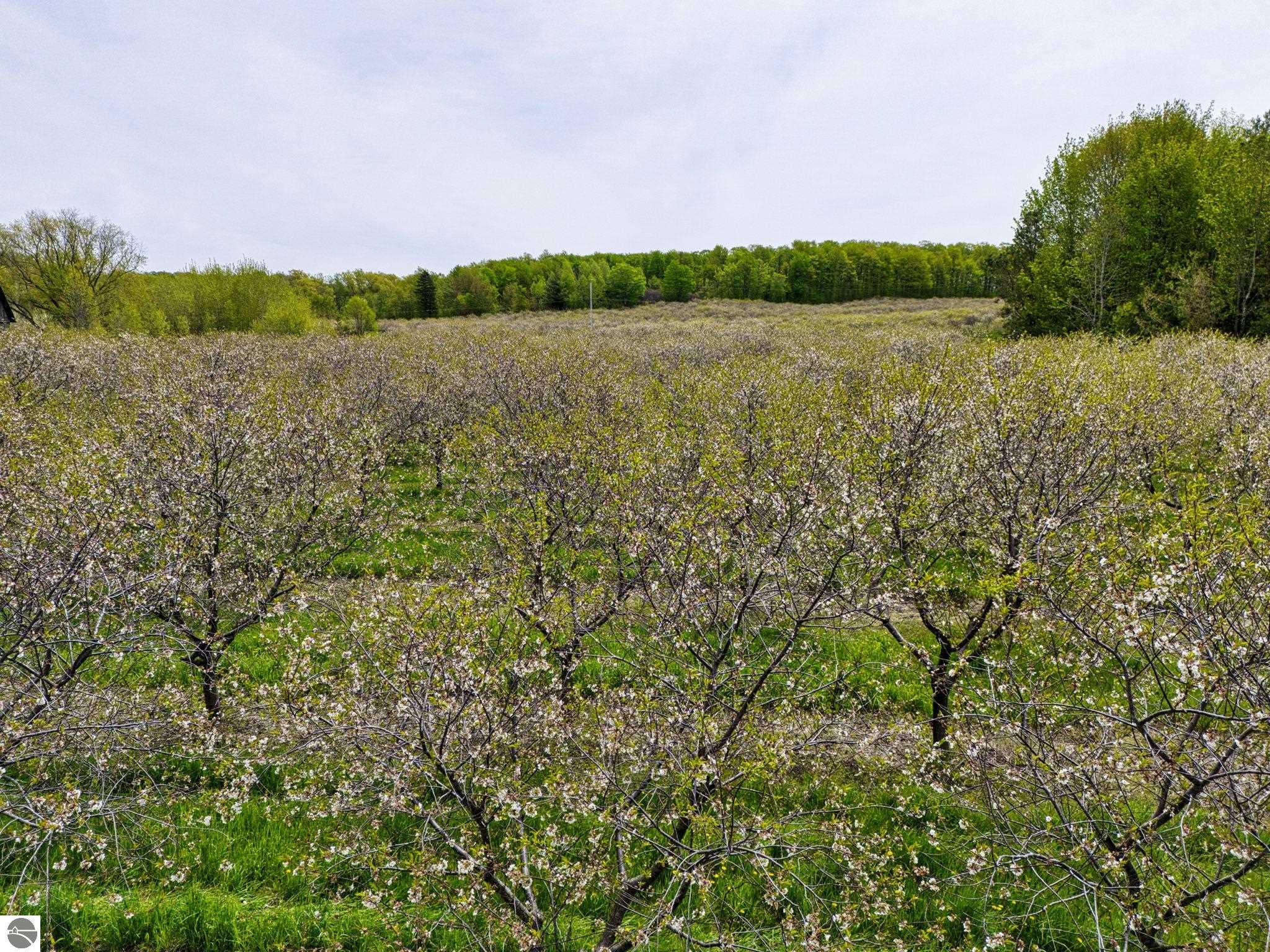 6400 N Manitou Trail