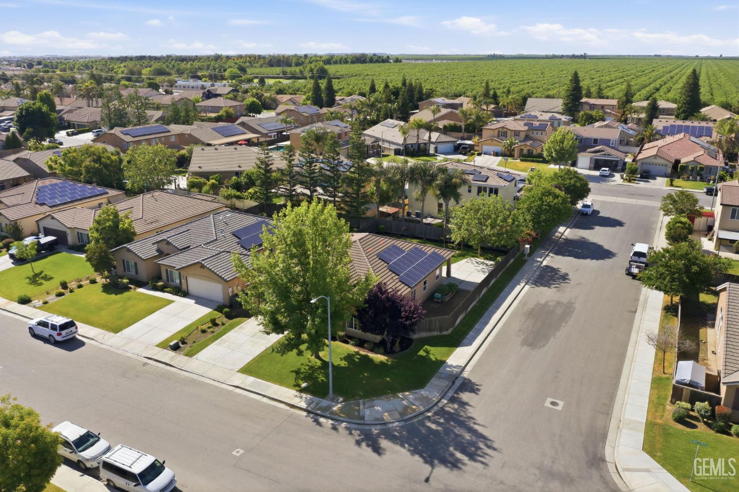 11715 Blanket Flower Drive