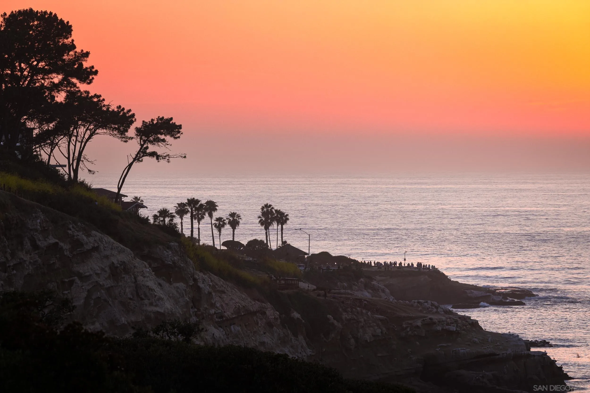 1624 Torrey Pines Rd