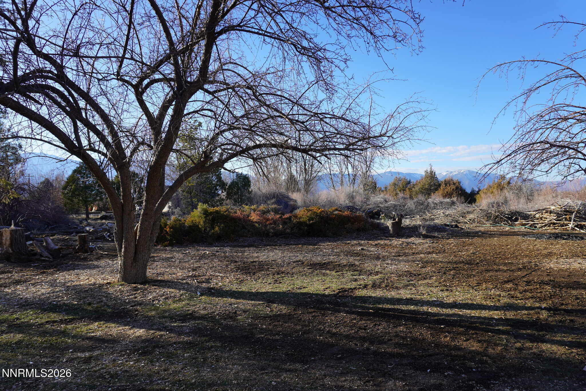 1430 Glenwood Drive